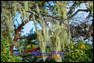 East Sooke Regional Park