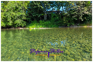 Cowichan River