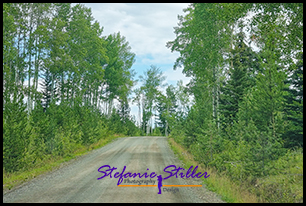 North Bonaparte Road