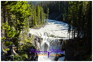 Upper Sunwapta Falls