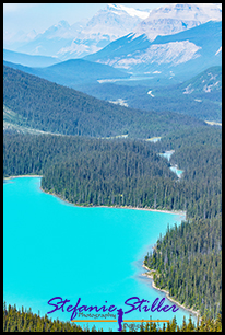 Peyto Lake