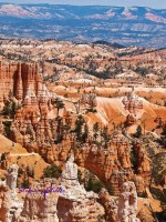 Bryce Canyon - Eine  fantastische Landschaft