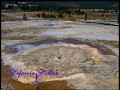 817 Anemone Geysir