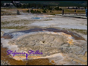 817 Anemone Geysir 817 Anemone Geysir