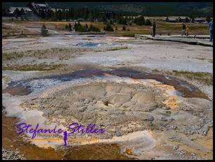 817 Anemone Geysir