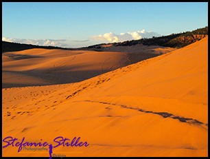 Coral Pink Sand Dunes im Sonnenuntergang