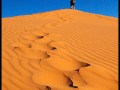 Die Düne muss erklommen werden