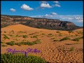 Coral Pink Sand Dunes State Park