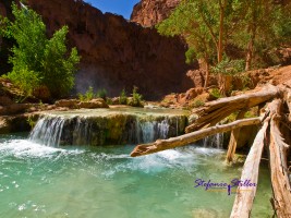 Wasserbecken unterhalb Havasu Falls