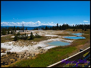 822 Wets Thumb Geyser Basin