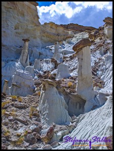 901 Wahweap Hoodoos 14 901 Wahweap Hoodoos 14