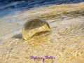 Lensball playing with waves