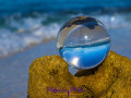 Lensball, Beach and Palms