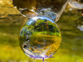 Reflection of Falkenseebach in lensball