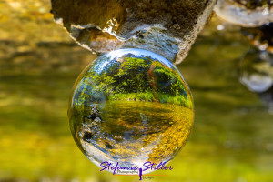 Reflection of Falkenseebach in lensball