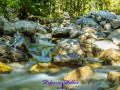 Small mountain stream