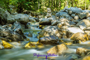 Small mountain stream