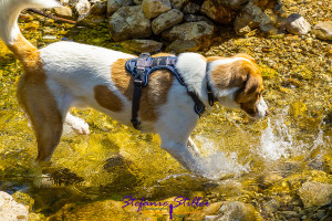 Sam playing with waters