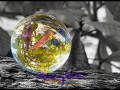 1231 LensBall Blaetter 01