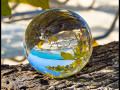 1231 LensBall Blaetter 02