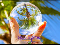 1231 LensBall Palme 01