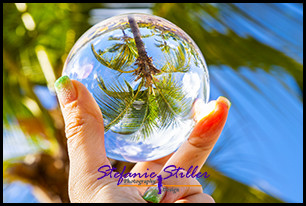 1231 LensBall Palme 01 1231 LensBall Palme 01