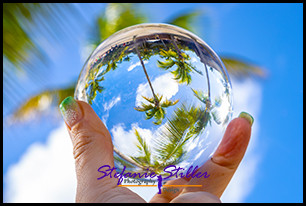 1231 LensBall Palme 02