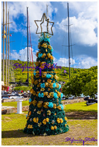 0103 CaribbeanXMas 01