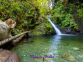 Goldstream Falls