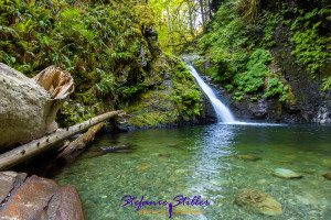 Goldstream Falls