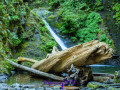 Goldstream Falls