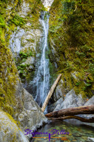 Niagara Falls, Vancouver Island