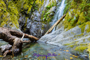 Niagara Falls (Vancouver Island) in Summer