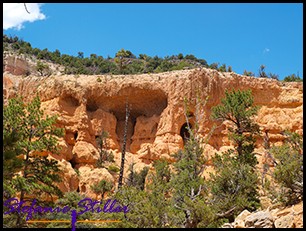 Felsalkoven im Red Canyon