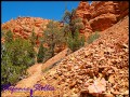 Trail im Red Canyon