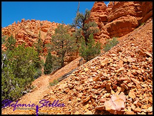 Trail im Red Canyon