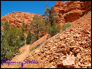 Trail im Red Canyon Trail im Red Canyon