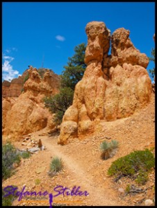 Trail im Red Canyon