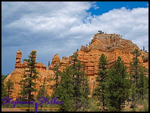 Red Canyon - der kleine Bruder vom Bryce Red Canyon - der kleine Bruder vom Bryce