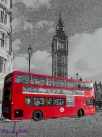 Bus vor Elisabeth Tower