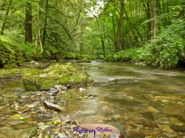 Lydford Gorge