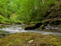 Lydford Gorge