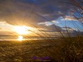 Sonnenuntergang durch die Dünen