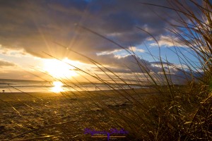 Sonnenuntergang durch die Dünen