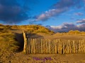 Dünen zur Golden Hour