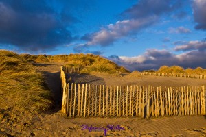 Dünen zur Golden Hour