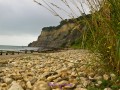 Strand bei Ebbe