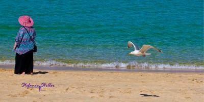 EIne Frau - Ein Vogel - Ein Strand