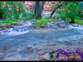Havasu Creek - wunderbares blau-leuchtendes Wasser