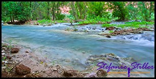 Havasu Creek - so klar Havasu Creek - so klar